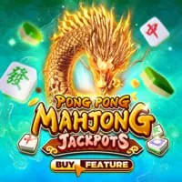 Biểu tượng kiểm toán công bằng baosting79