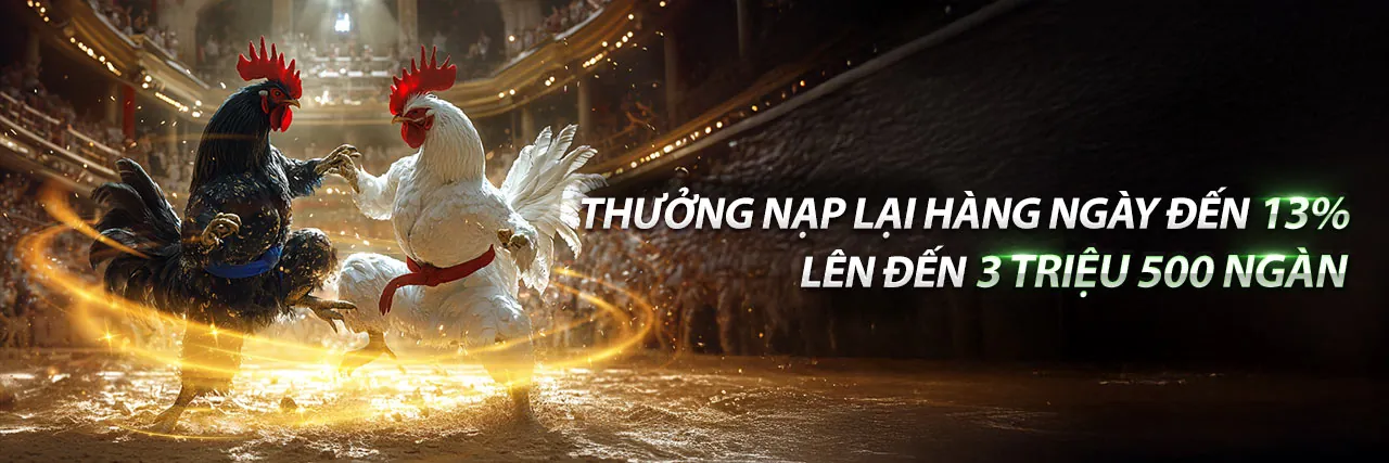 Hình ảnh chính của trang Câu hỏi thường gặp baosting79